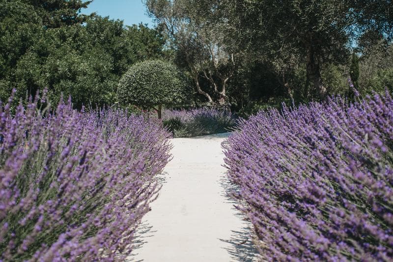 Agroturismo Malbuger Nou - Adults only 2