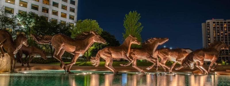 Hotel Indigo Irving Las Colinas by IHG photo 1