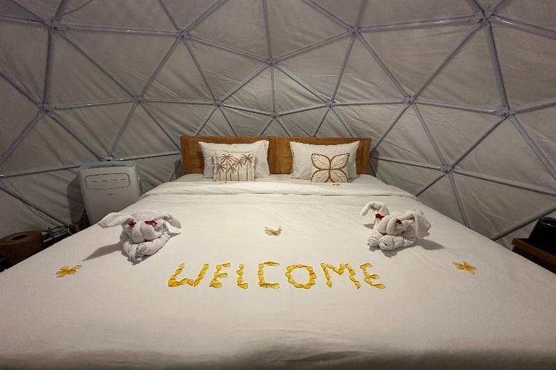 Glamping @ Pebbles & Fins by ZUZU 4