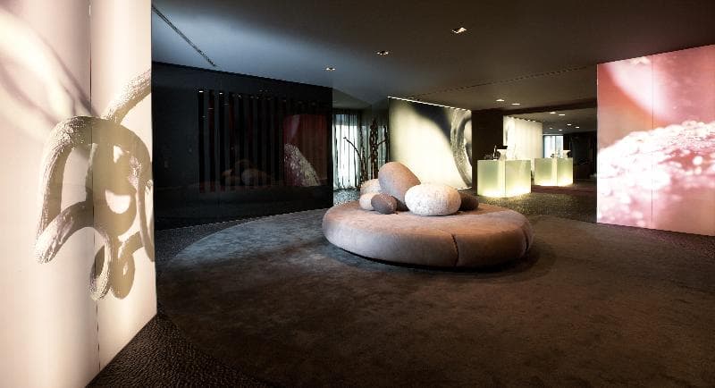 Hotel The Vine 4