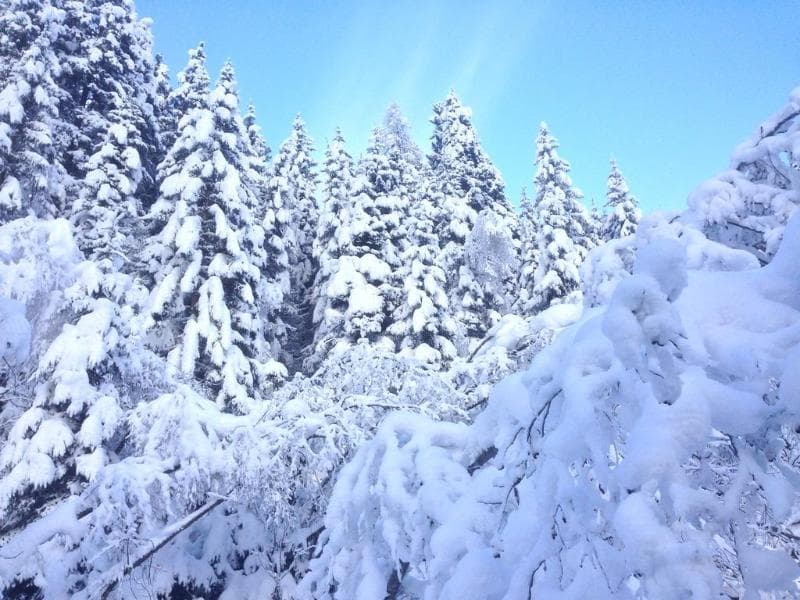 Impuls Tirol photo 1