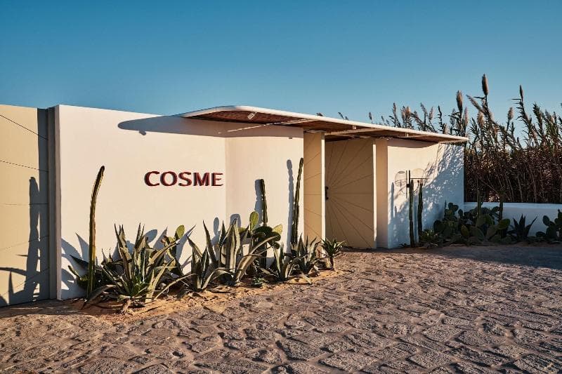 Cosme, a Luxury Collection Resort, Paros 4