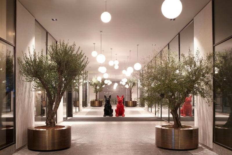 Moxy Athens City 3