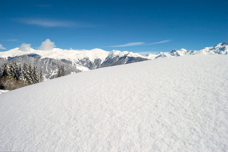 Résidence Premium Les Chalets du Forum photo 1