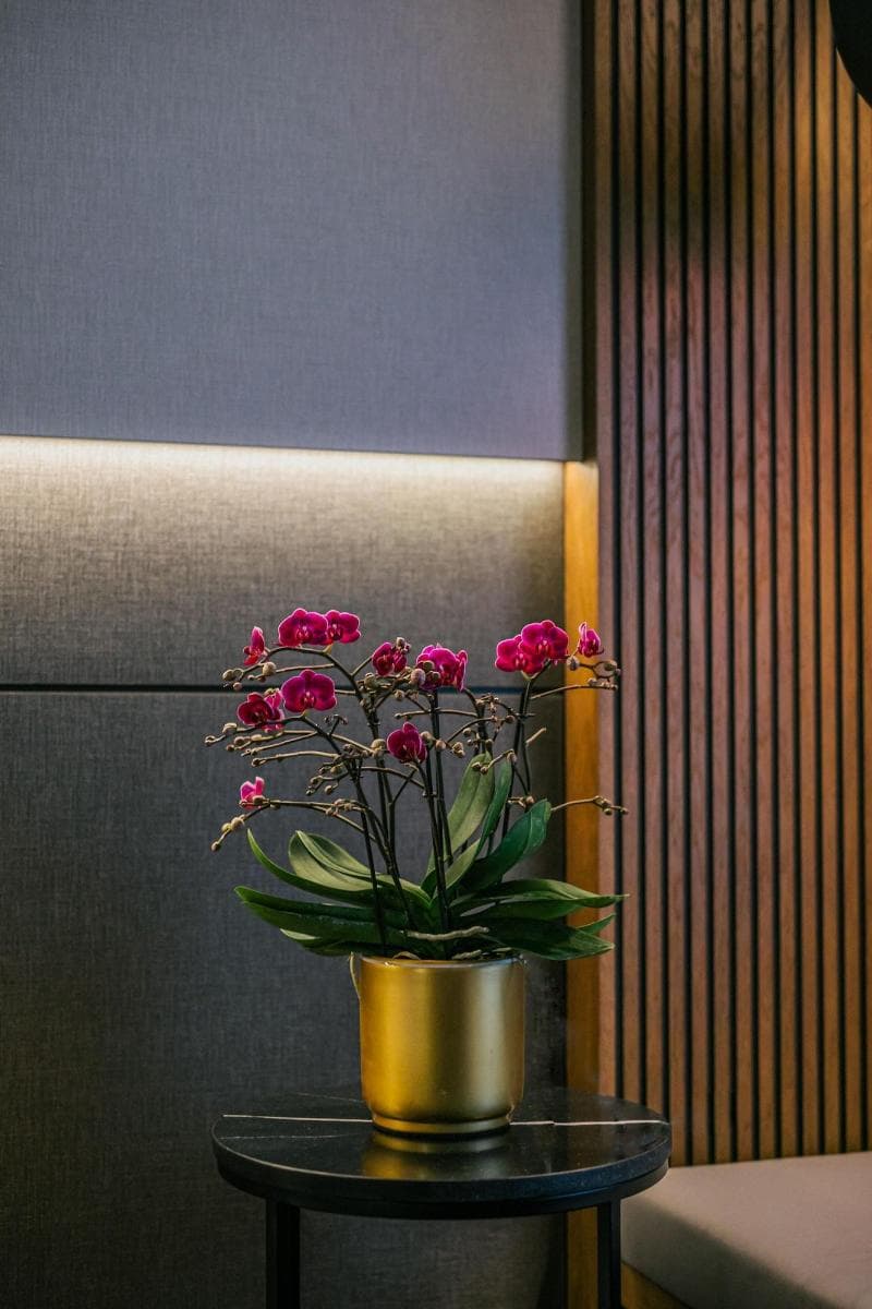 Radisson Collection Hotel, Roma Antica 5