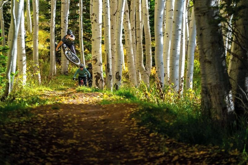 Grand Hyatt Deer Valley 5