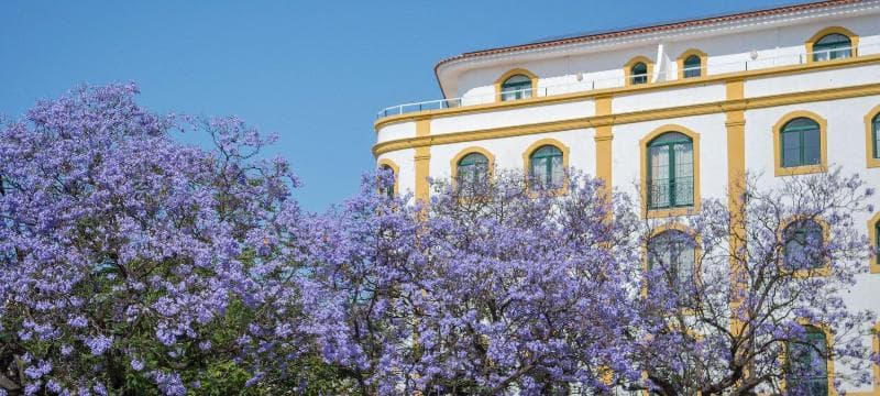 Loule Jardim 2