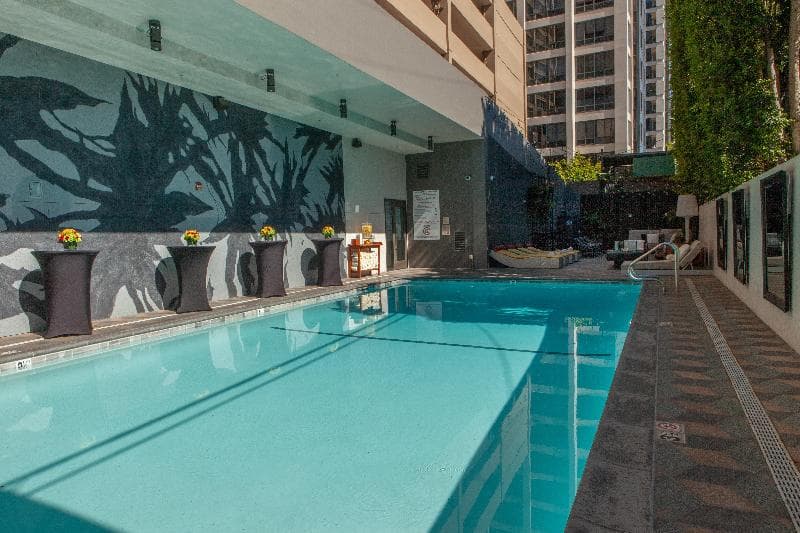 Kimpton Hotel Palomar Beverly Hills 3