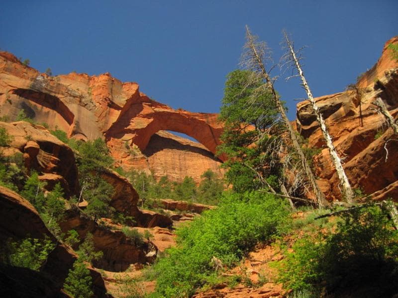 Holiday Inn La Verkin Zion Park by IHG photo 1