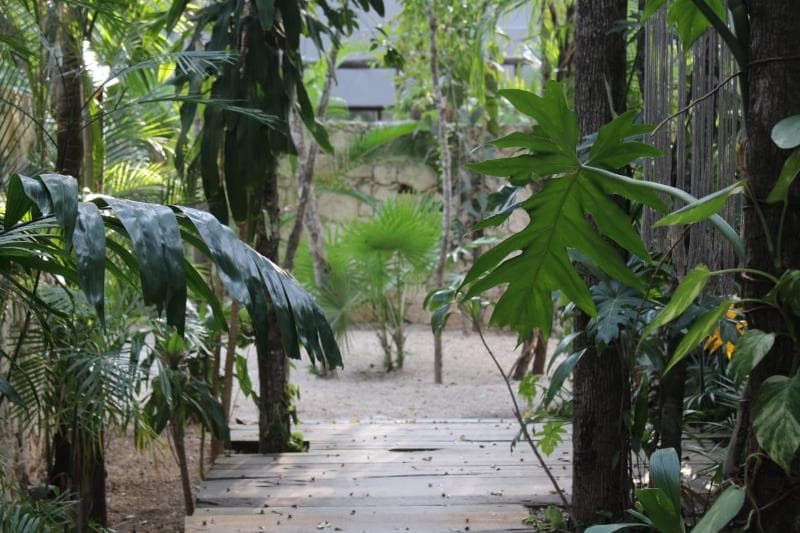 Kuun Taak Tulum photo 1