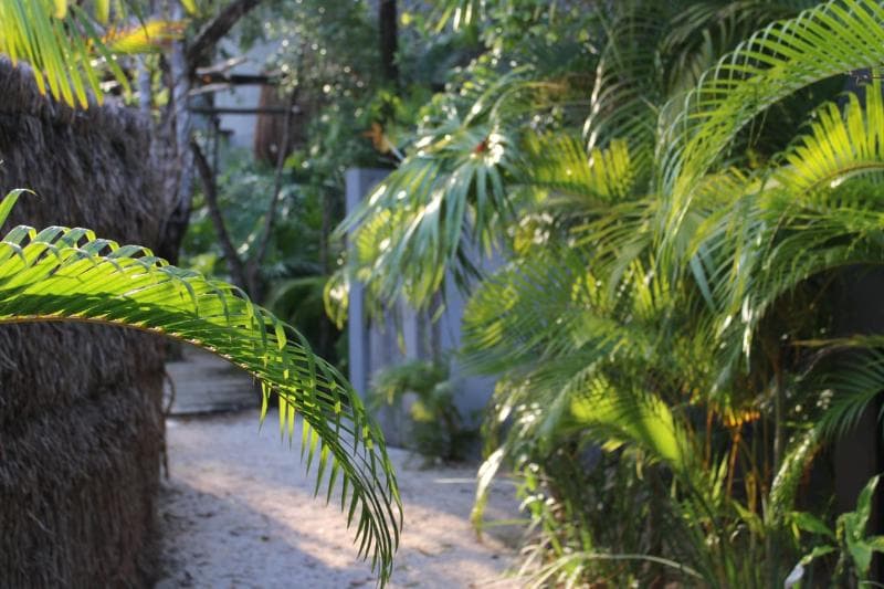 Kuun Taak Tulum 2