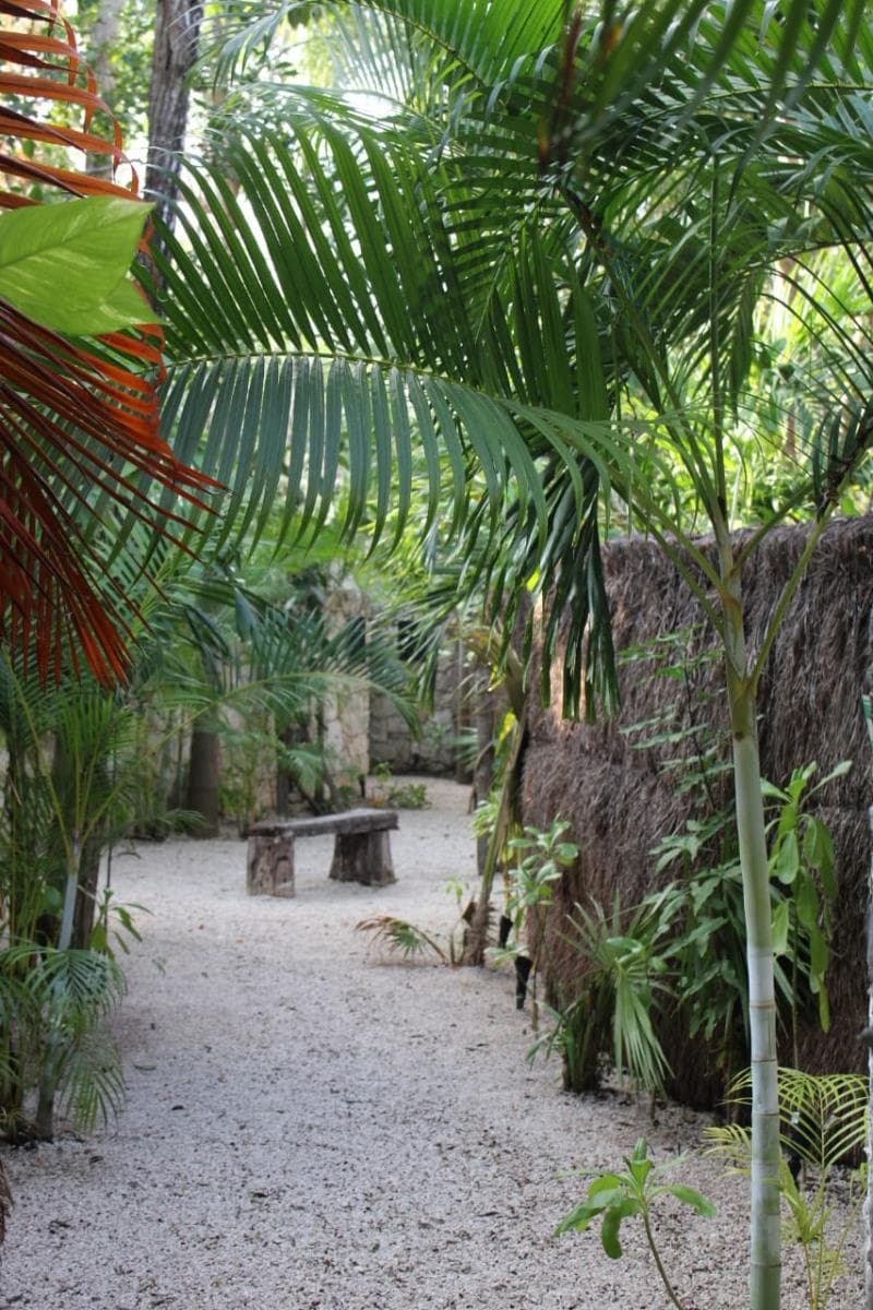 Kuun Taak Tulum 4