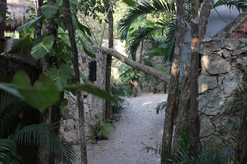 Kuun Taak Tulum 5