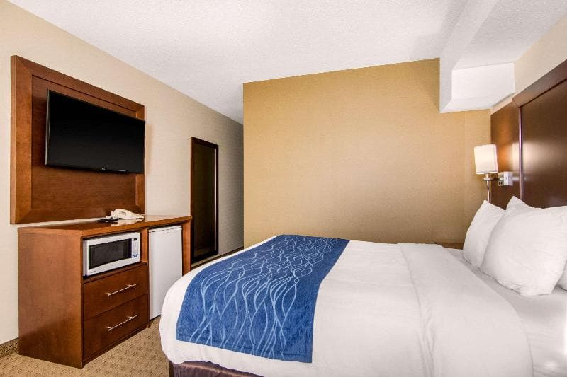Comfort Inn & Suites 5