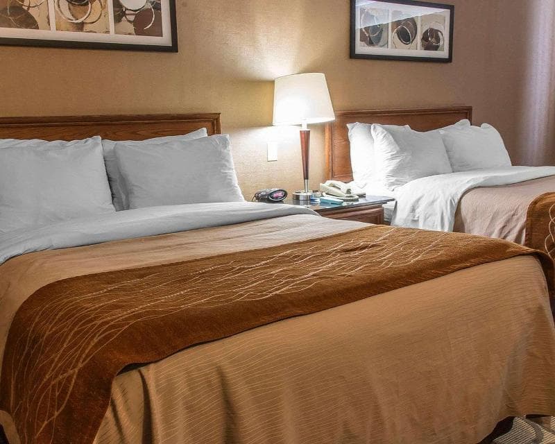 Comfort Inn Brandon Manitoba 3