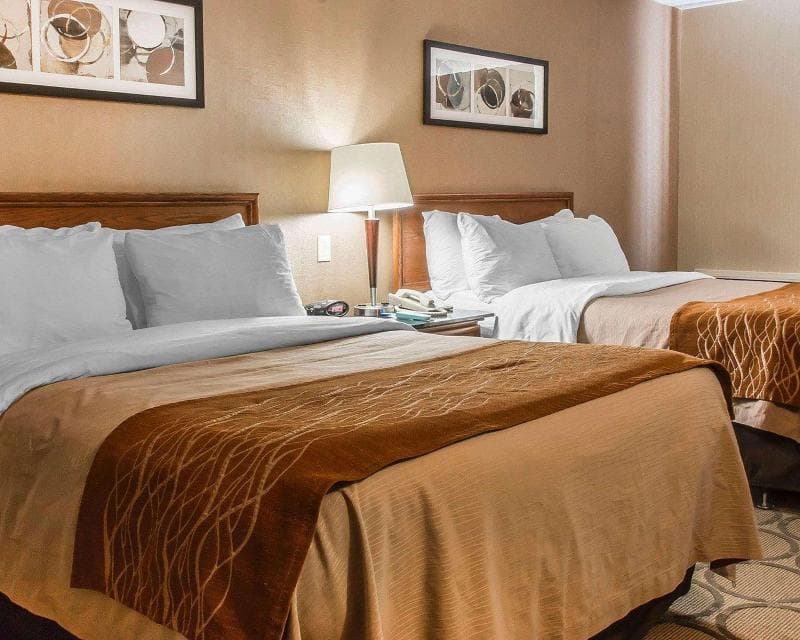 Comfort Inn Brandon Manitoba 4