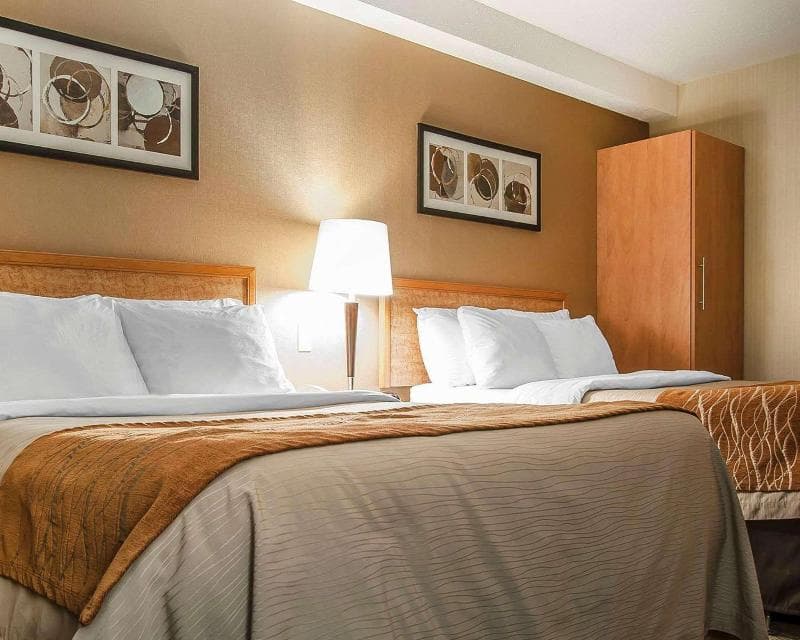 Comfort Inn Fredericton 3