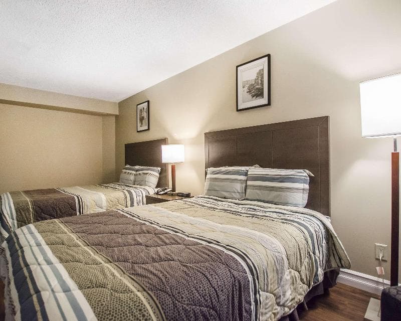 Econo Lodge Miramichi photo 1