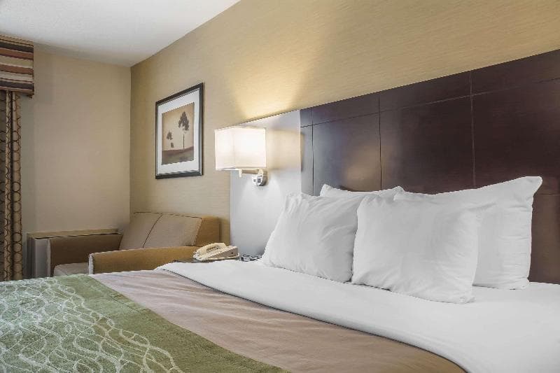 Comfort Inn Chatham 2