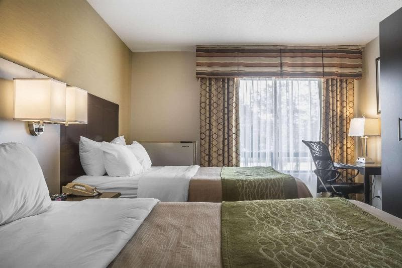 Comfort Inn Chatham 3