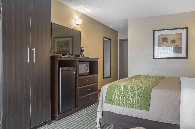 Comfort Inn Chatham 4