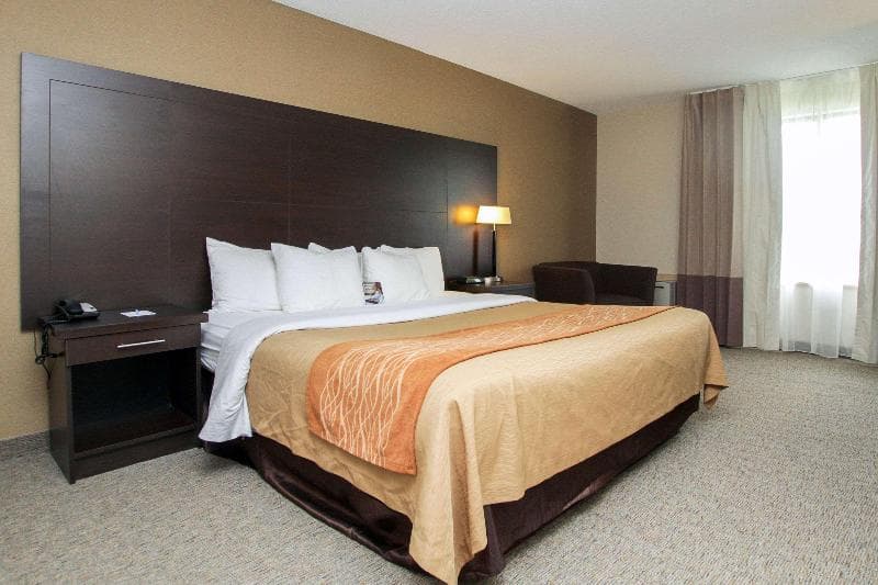 Comfort Inn 4