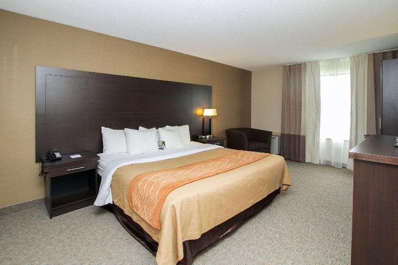 Comfort Inn 5