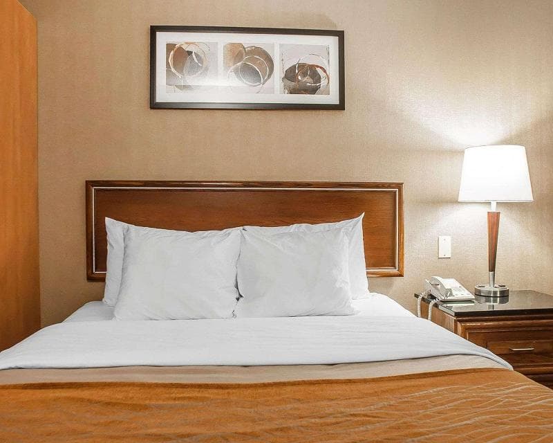 Comfort Inn Simcoe 3