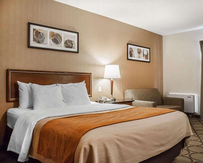Comfort Inn Simcoe 4