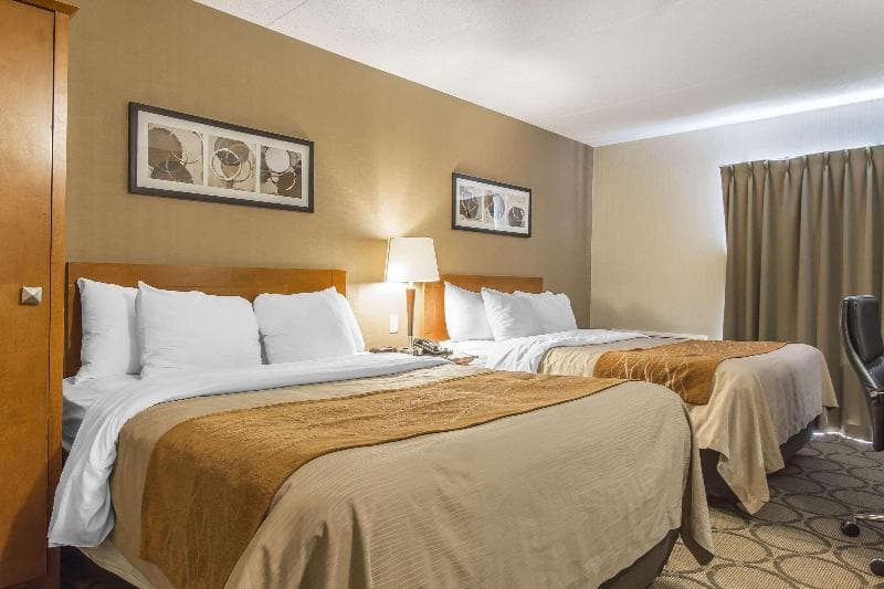 Comfort Inn Timmins 3