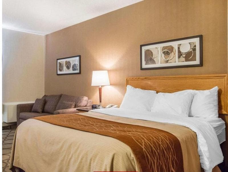 Comfort Inn Alma 5