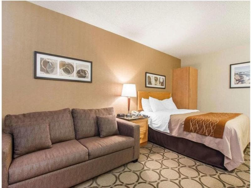 Comfort Inn Alma 2