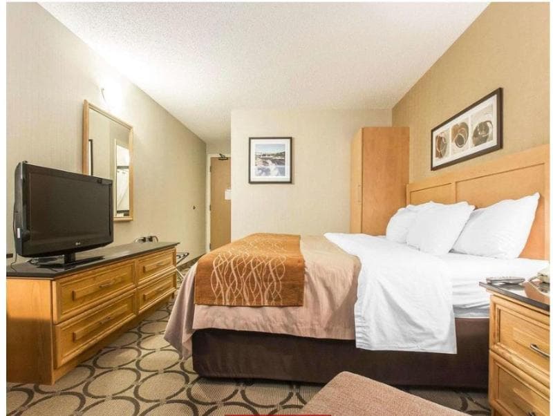 Comfort Inn Alma 3
