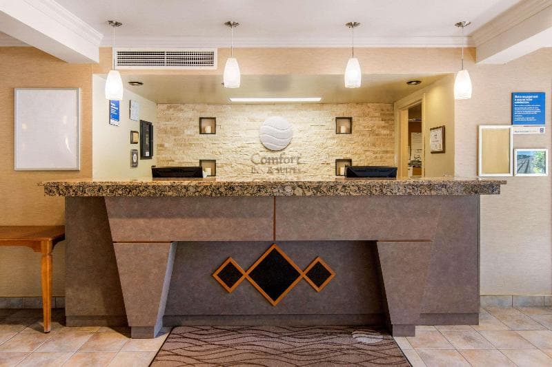 Comfort Inn & Suites 5