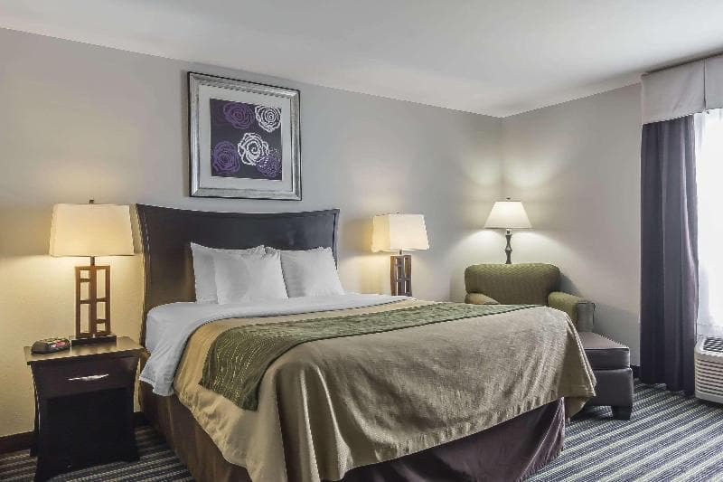 Comfort Inn & Suites 3