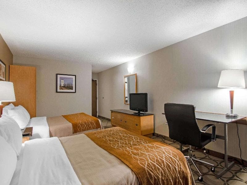 Comfort Inn Prince Albert 3