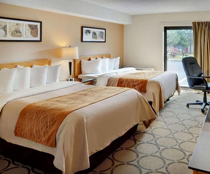 Comfort Inn Prince Albert 4