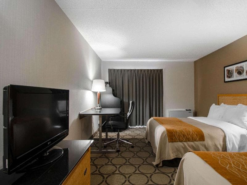 Comfort Inn Prince Albert 5