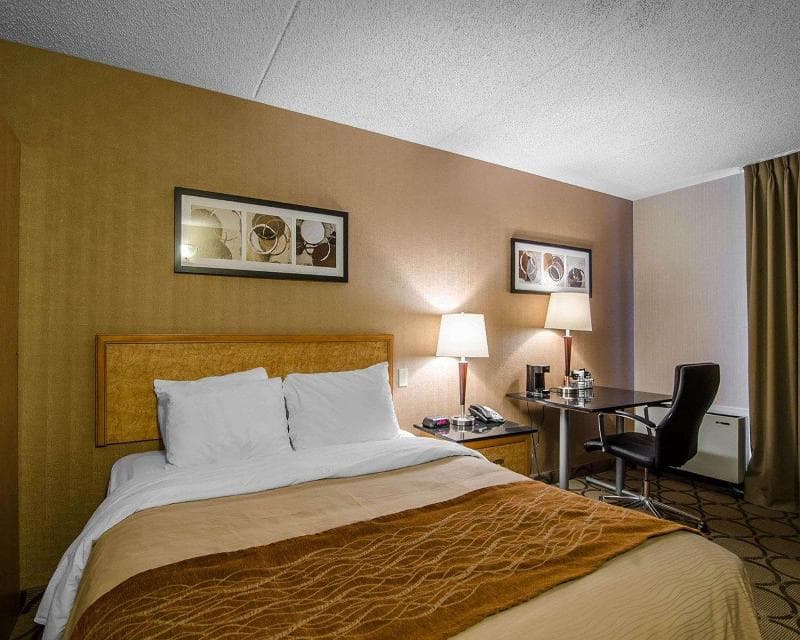 Comfort Inn Swift Current 5