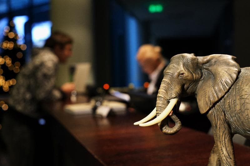 Rixwell Elefant Hotel 5