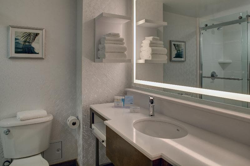 Hampton Inn & Suites Miami-Airport South-Blue Lagoon 5