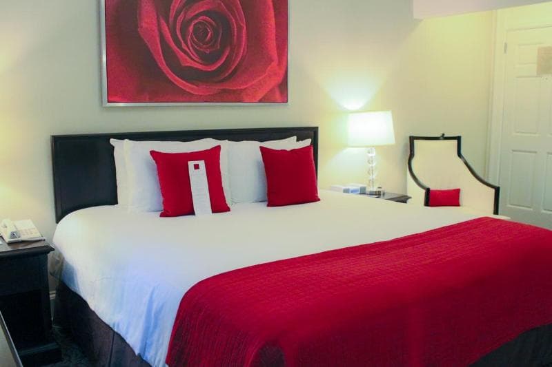 The Artmore Hotel 4