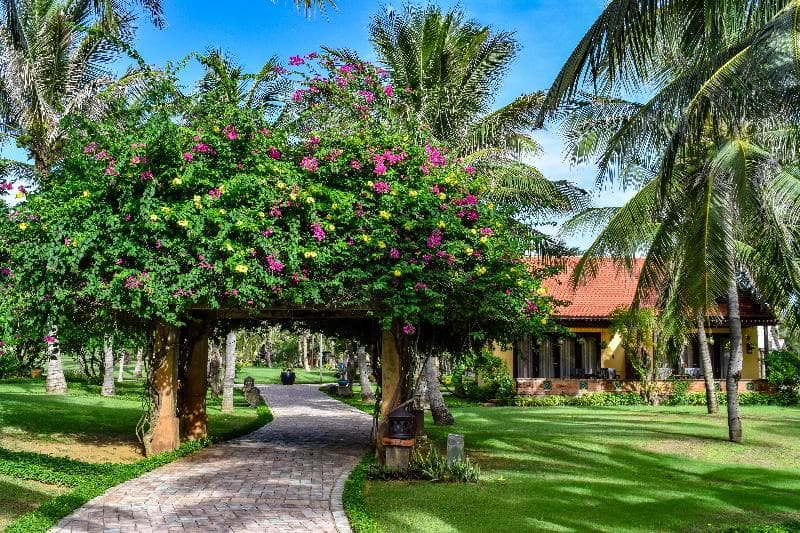 Pandanus Resort 2