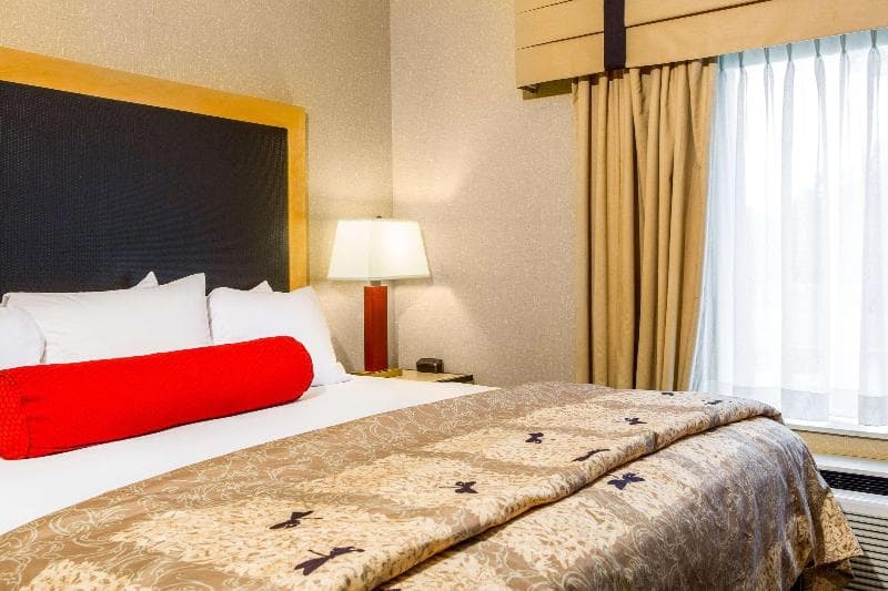 Cambria Suites Raleigh-Durham Airport 5