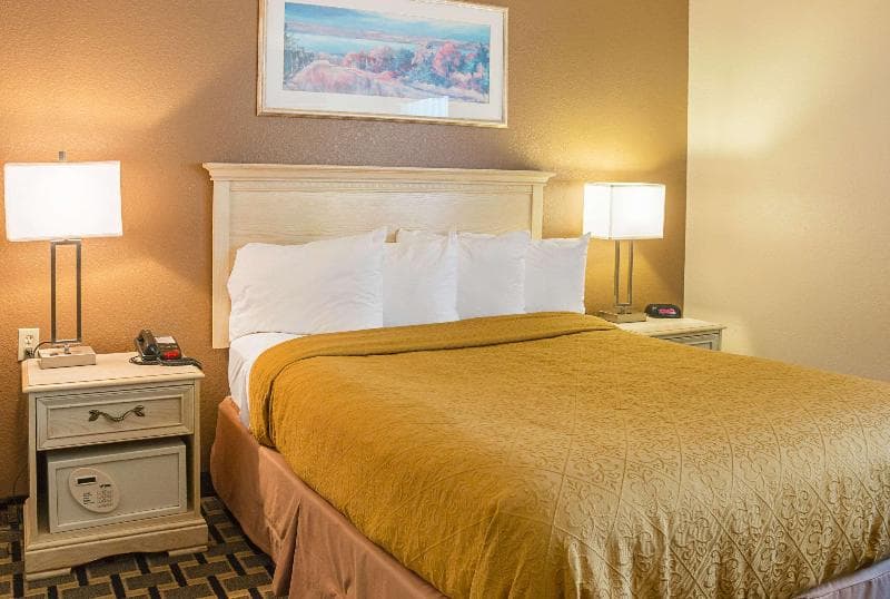 Quality Inn & Suites Detroit Metro Airport 4
