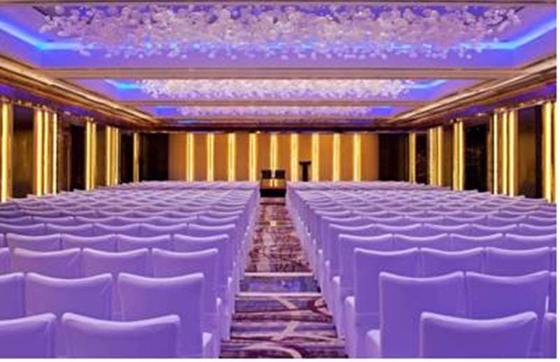Radisson Blu Plaza Hotel, Delhi Airport photo 1