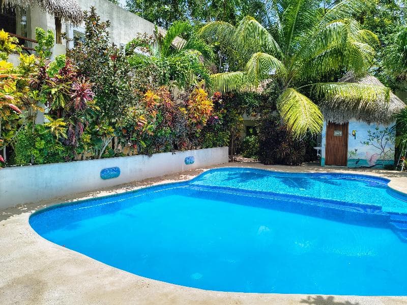 Hotel & Suites Oasis Bacalar 3