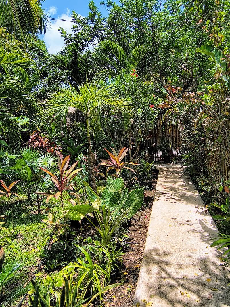 Hotel & Suites Oasis Bacalar 5