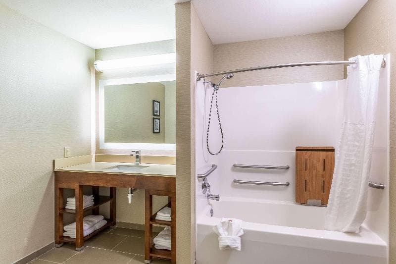 Comfort Suites Escanaba 4