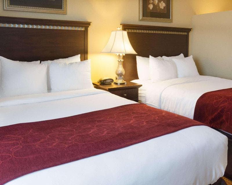 Comfort Suites Fredericksburg North 3